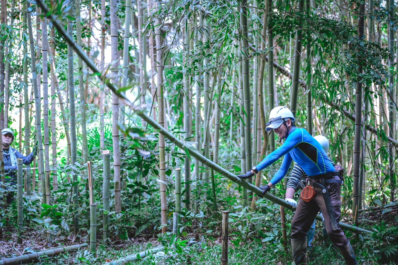 穂谷の竹林で竹を運ぶ